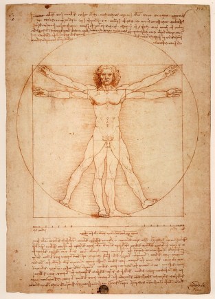 leonardo-da-vinci-1125056_960_720
