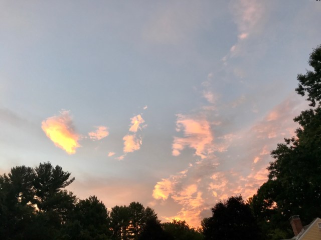 0AC3D93E-CE53-4F7E-AC31-CE517FDD76BC