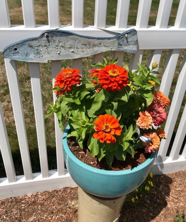 0CC6F0C2-85AB-4F95-B795-EFE3B4EA1A7D