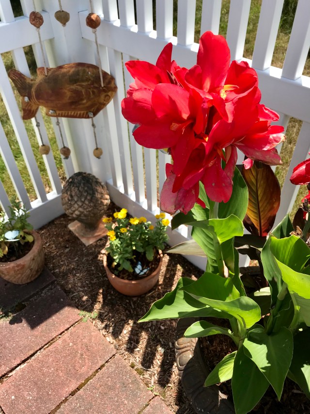 242DFD2B-7406-4497-AF83-C6787B131698