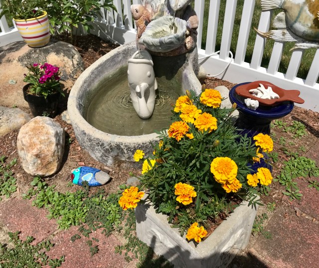 3785B005-7597-4867-B697-D52D3656A1D8