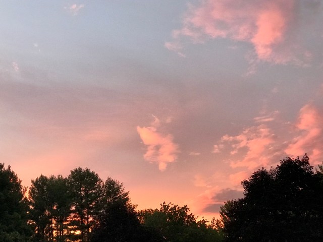 41700336-B620-4CB2-AB77-528E1BB68CA3