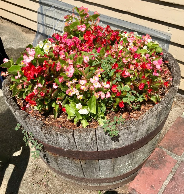 660116F0-0E1A-47E0-B841-5F198072E2E8