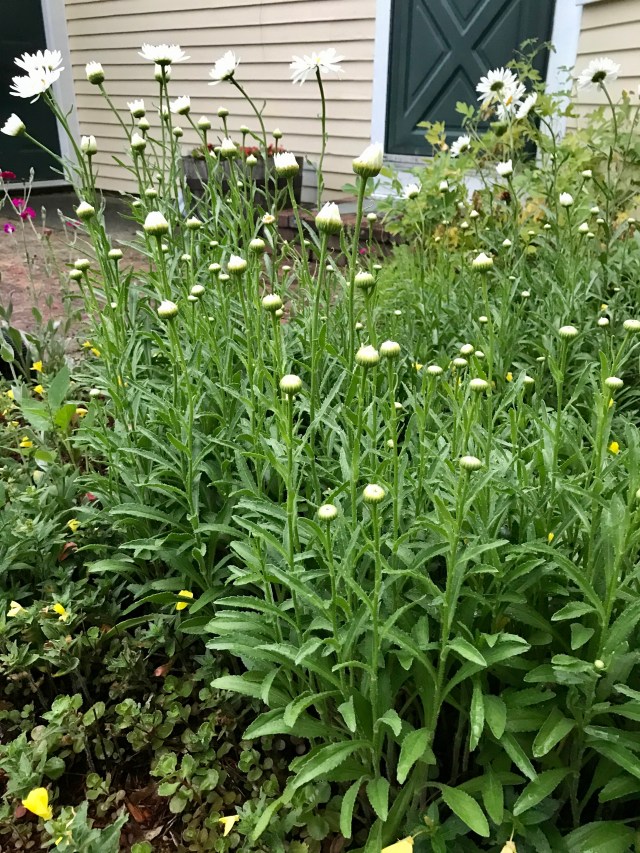 AC925264-CC89-4A70-B49E-B468A8737339