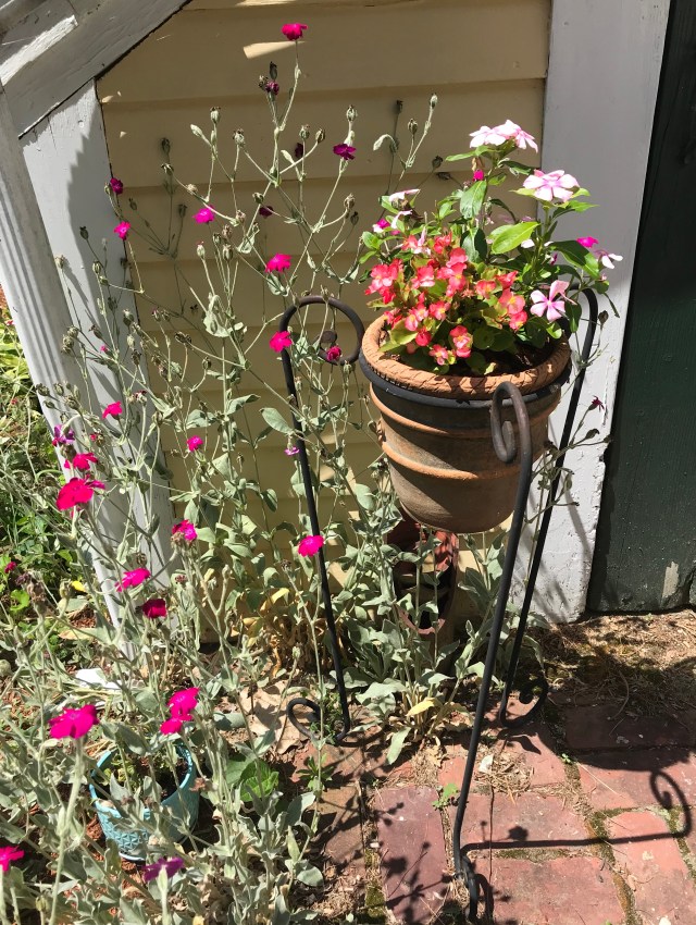 DE9C0E84-D27E-4943-B577-51667F597FDE