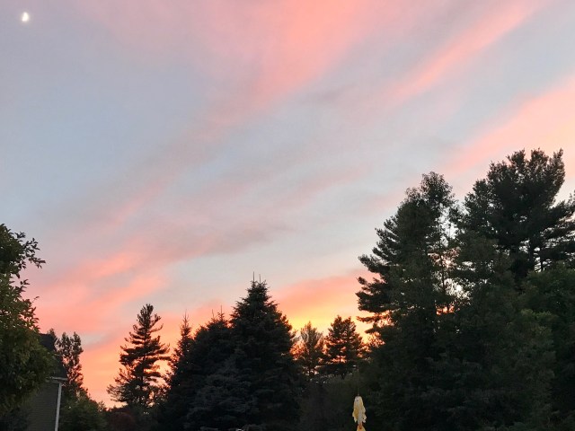 EC4D6788-4CF3-4DED-9704-02654C59972C