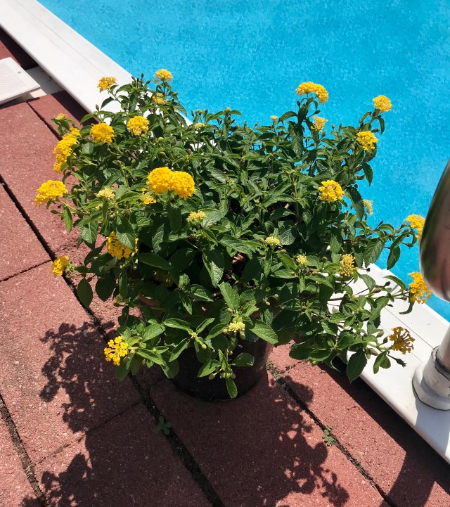 F30242DD-7BC6-4D40-AE12-1505D714B6FE