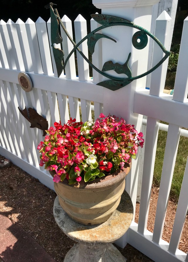 FD51517F-C0E1-4807-B422-72A12886861D