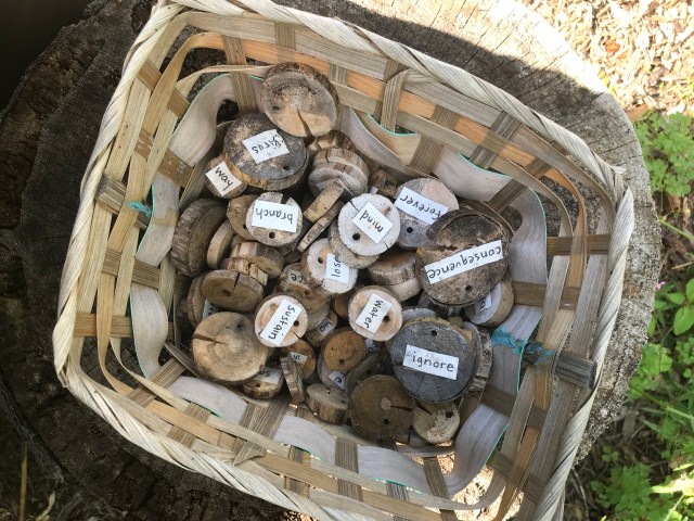 50C51CF3-A2F0-4F46-B6A2-8D34F931F2A4