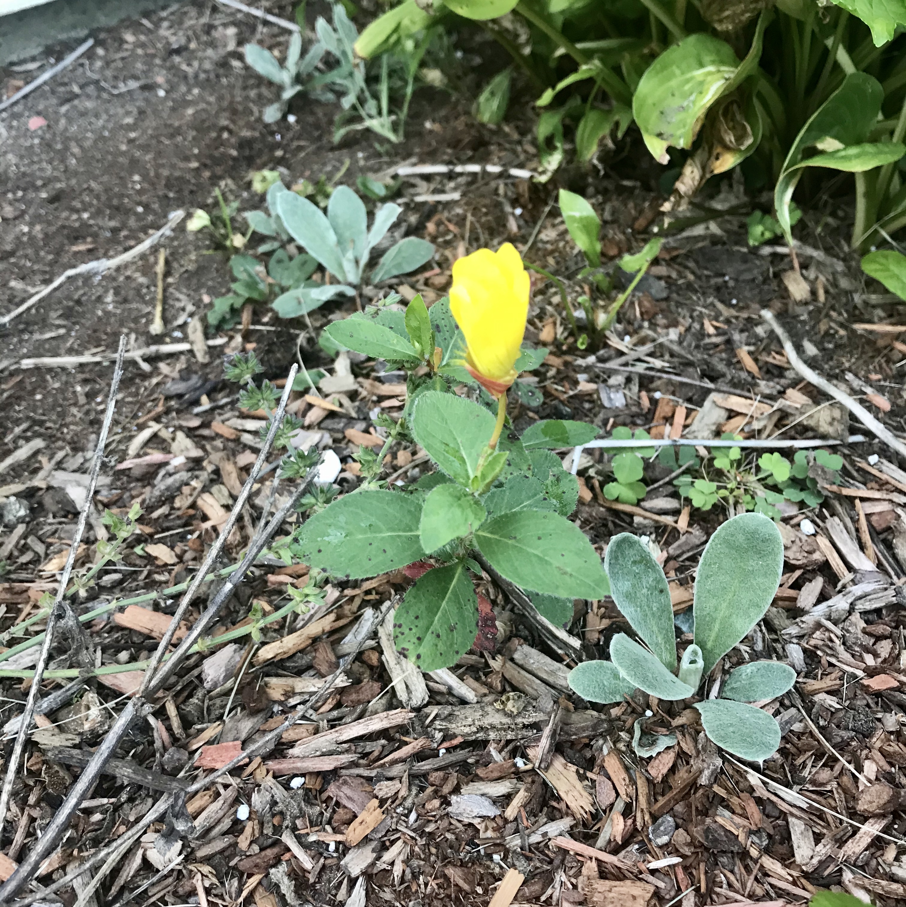 733F7791-7FCC-4B5F-83AB-69BEB7577715