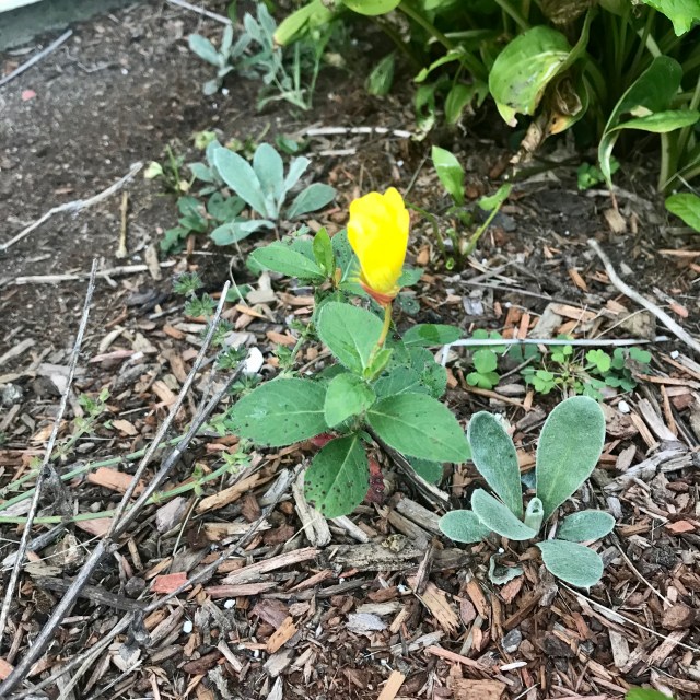 733F7791-7FCC-4B5F-83AB-69BEB7577715