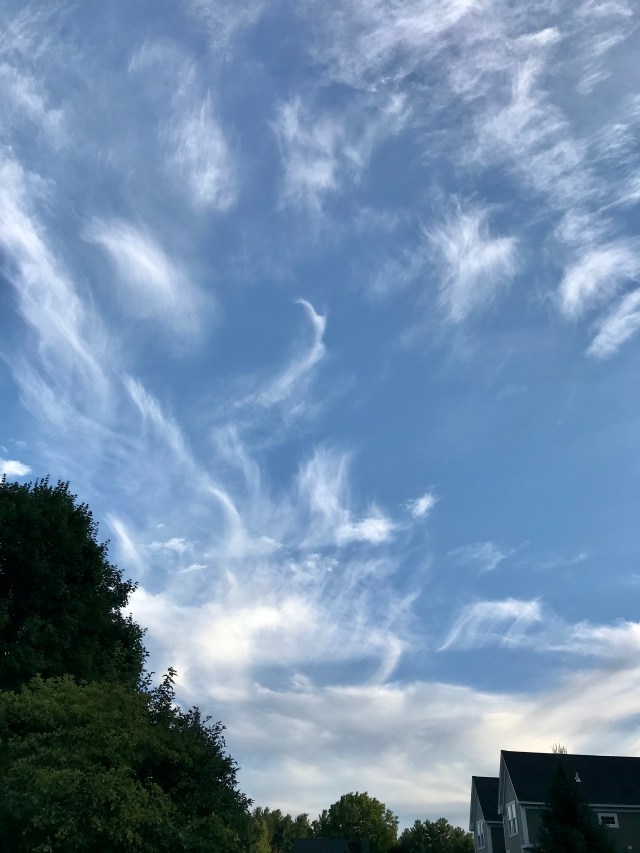 BA6660D1-54EA-444C-BFB9-1C985D1CC6CE