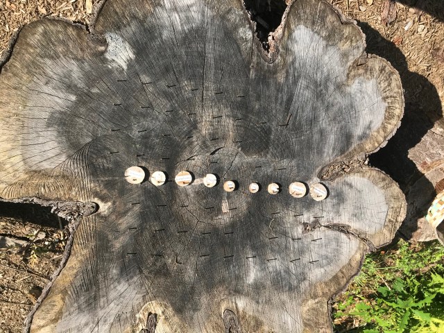 F0CCB23C-2980-4882-BC17-8F765553D100