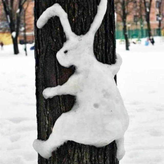 snow-bunny