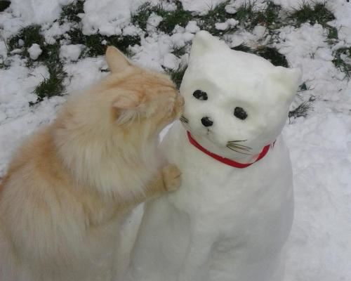 Snow-Cat