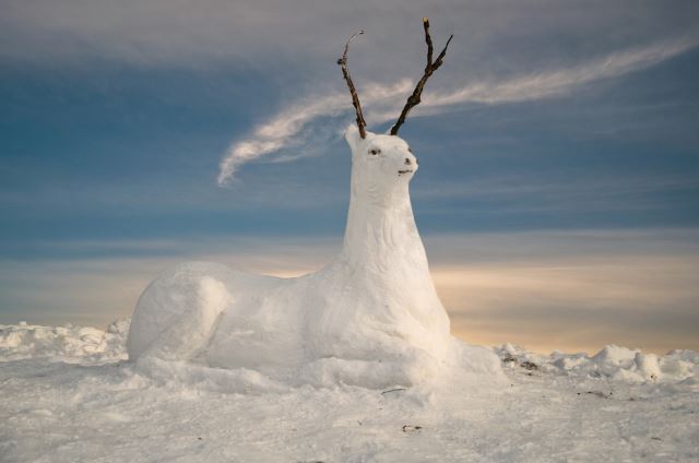 Snow-Deer
