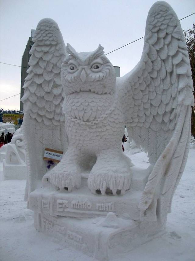 snow-owl